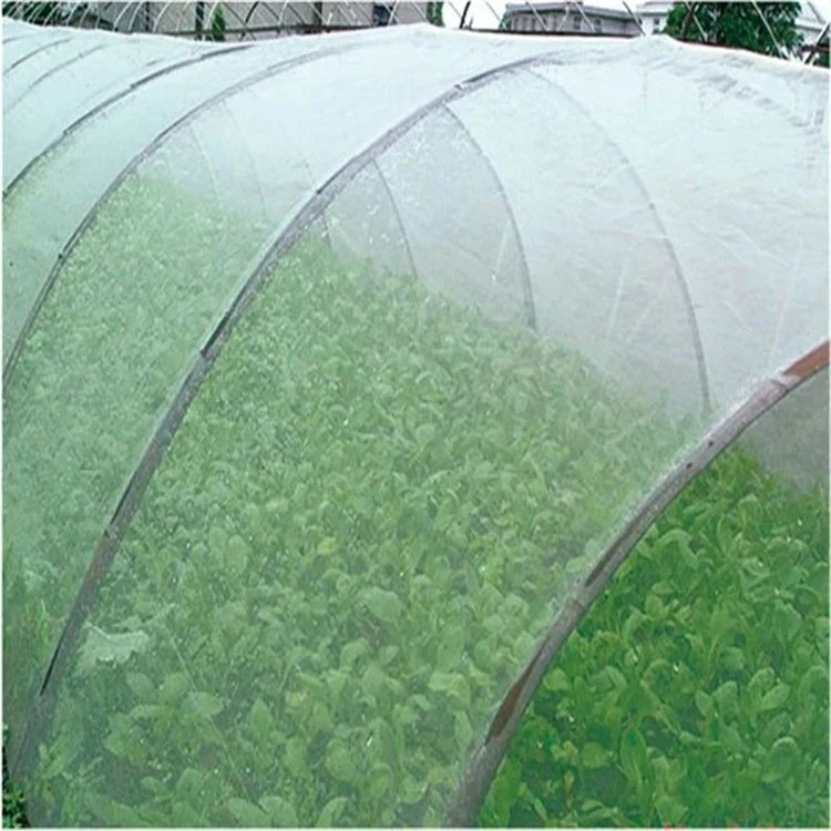 Bom Preço 100% de HDPE plástico UV transparente Inseto com efeito de estufa e a tela de Mosquito Agricultura Inseto Malhagens