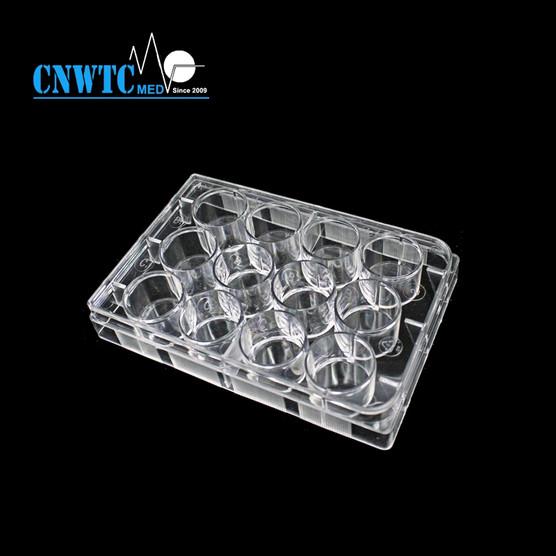 24well Laboratory Plastic Sterile PCR Reaction Cell Tissue Culture Plate