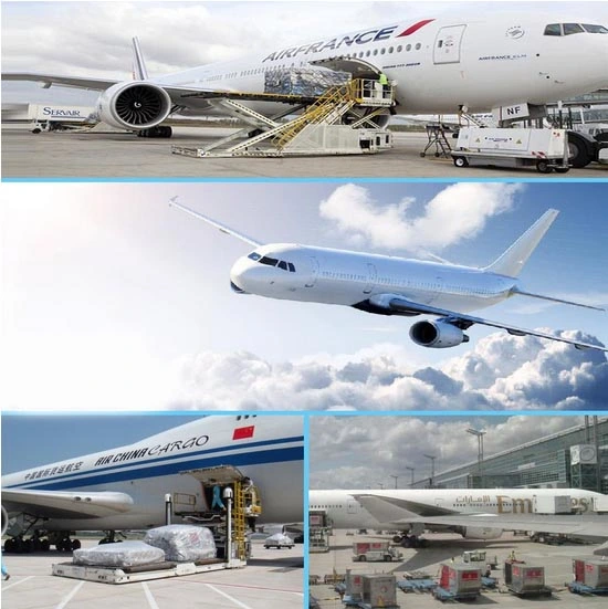 Professional Freight Forwarder/Experienced Logistics Service Provider/Container Shipping/Air Freight From China to Germany