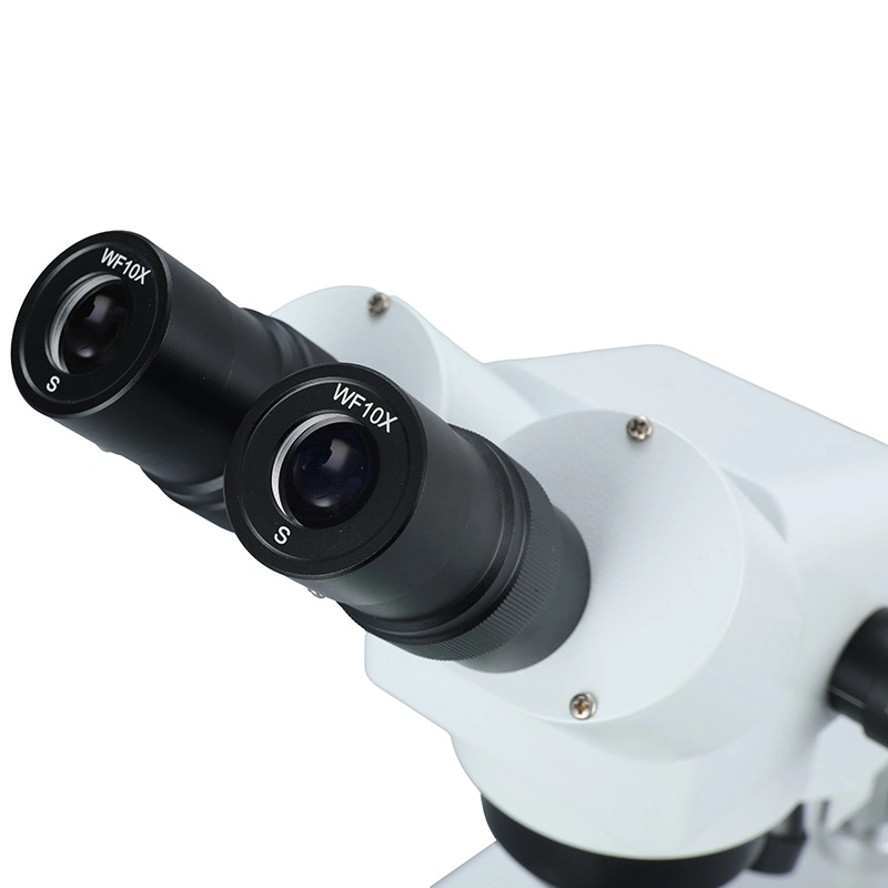 Trinocular Stereo Microscope for Laboratory/Educational/Medical