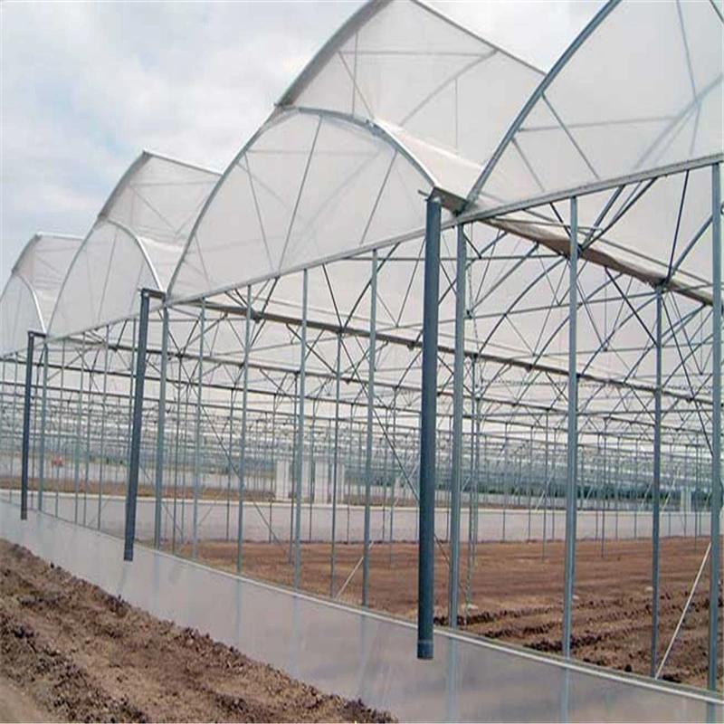 Wholesale/Supplier Price Customized PE Practical Anti-Mosquito/Anti-Inscet Net (100 Mesh) for Insect Prevention