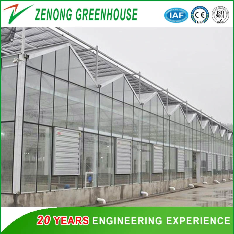 Intelligent Glass Greenhouse with Inside Shading Net for Vegetables/Seeding/Fruits