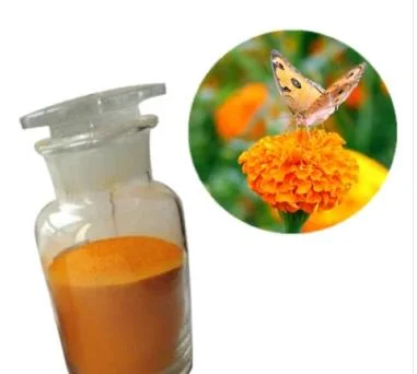 Extrato de flor Marigold Lutein Extract Powder Lutein