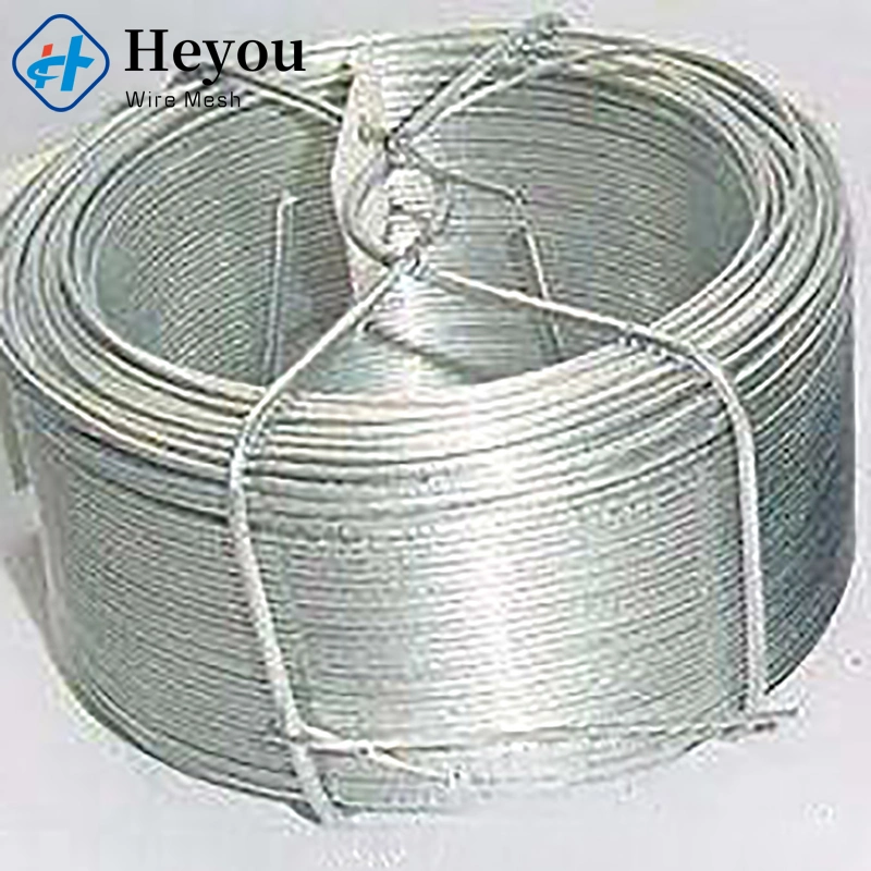 Hot Galvanized Alloy Steel Electro Galvanized Iron Wire Bwg10 35kg/Coil Galvanized Welded Wire Mesh/Window Regulator Cable/Wire/Wire Rod Price