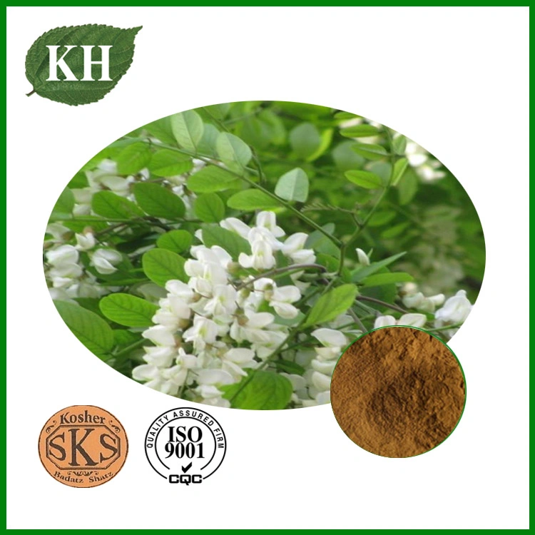 Natural Herbal Extract Troxerutin Sophora Japonica Extract