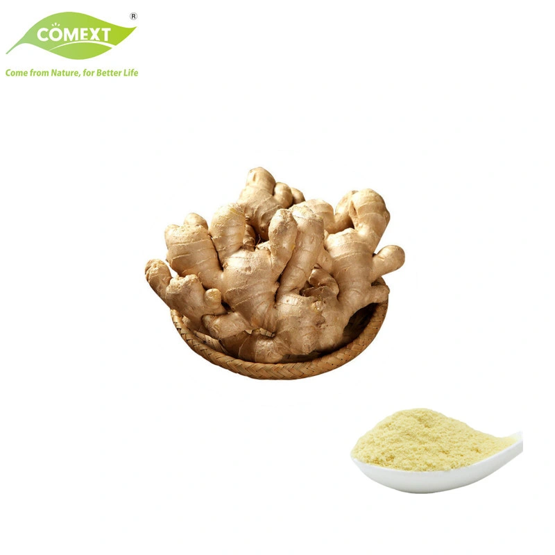 Free Sample Free Sample Zingiber Officinale Extract Gingerols Ginger Extract for Food Additives