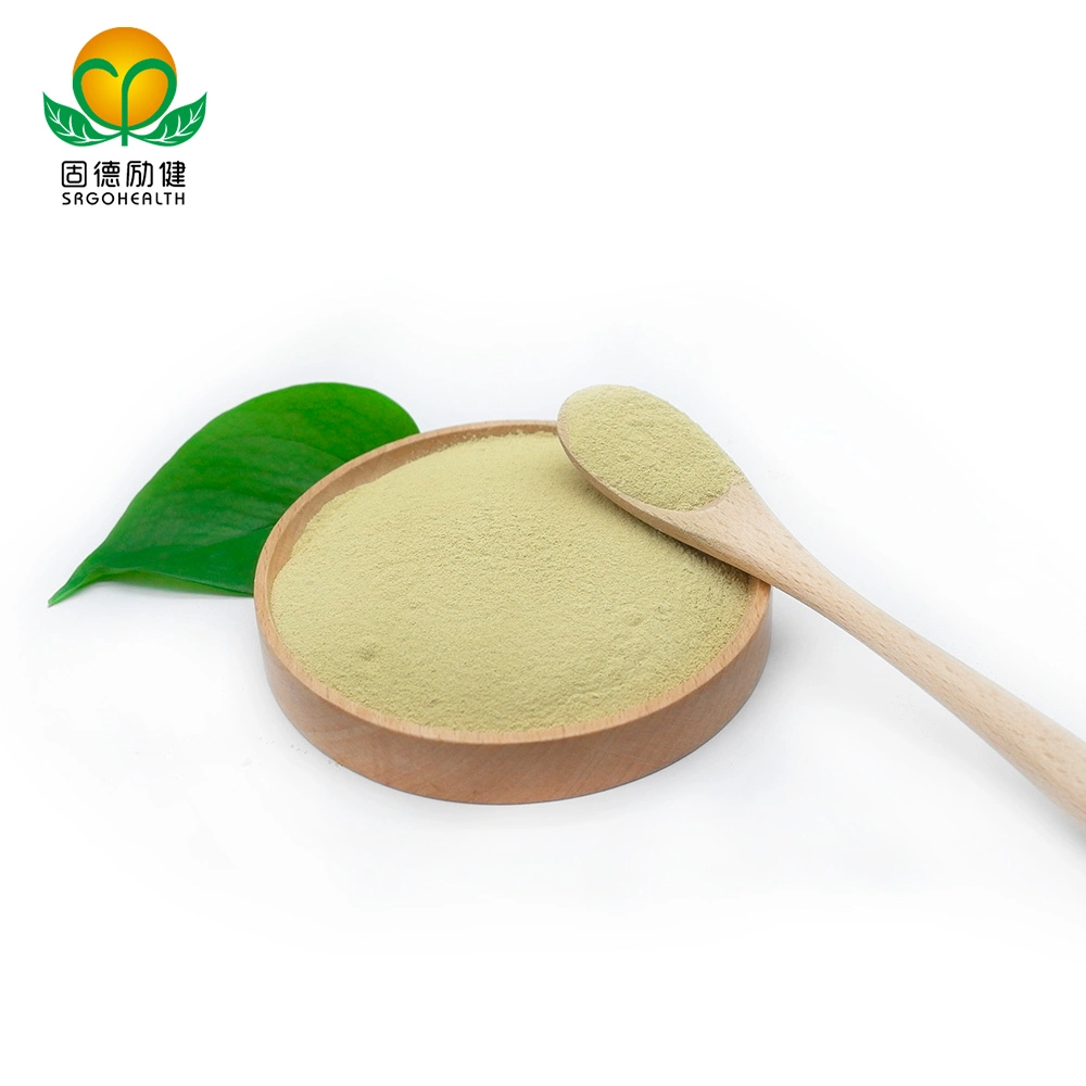 Factory Direct Supply Pure Sophora Japonica Extract Powder Rutin CAS No153-18-4