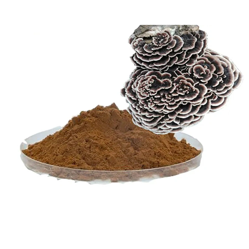 Water Soluble Turkey Tail Mushrooms Extract Extract Polysaccharide Powder