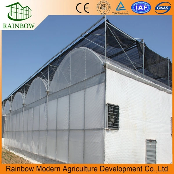 Best Selling Commercial Multi-Span Plastic Film Greenhouse for Vegetable Growing