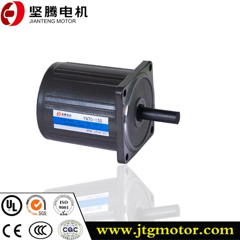 Professional and Efficient 10W-200W AC Gear Motor Electrical Motor Induction Motor for Power Transmission