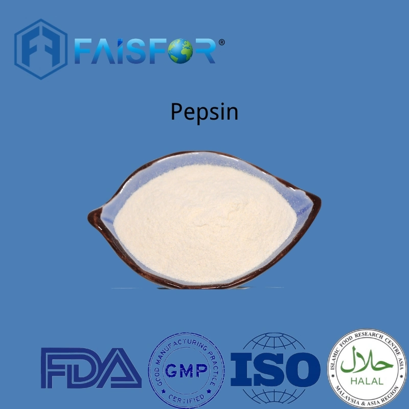 Elevate Digestive Performance: Supplying The Finest Pepsin Powder