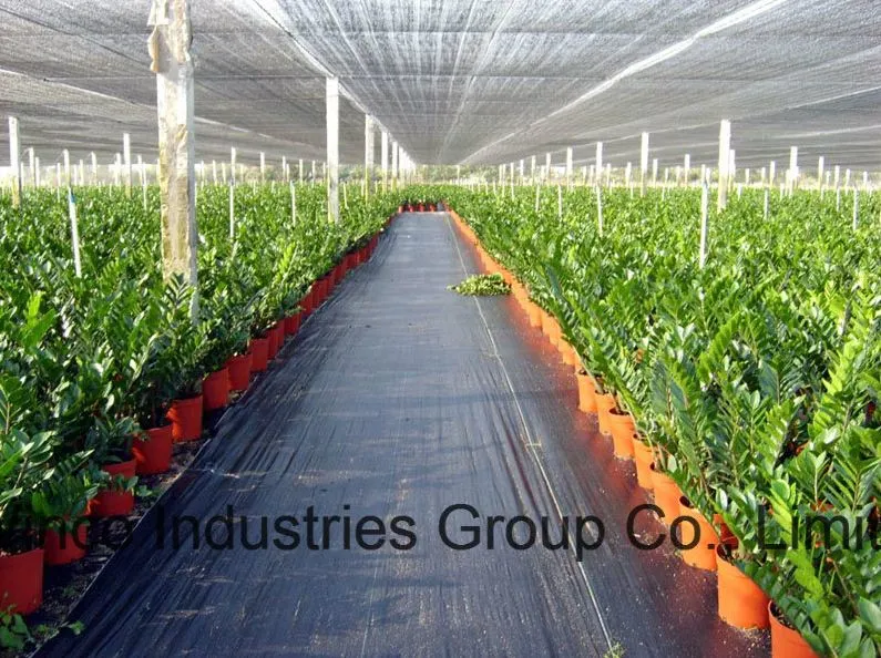 Green Extranet 85% Sun Shade Netting