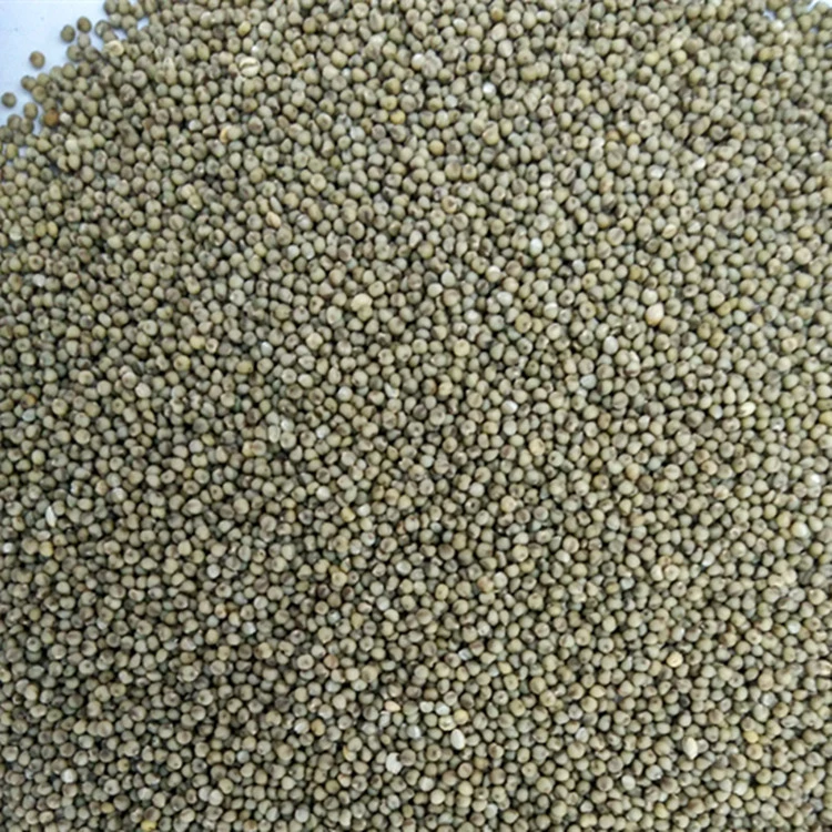 Growing in The Best Environment Millet Direct Deal