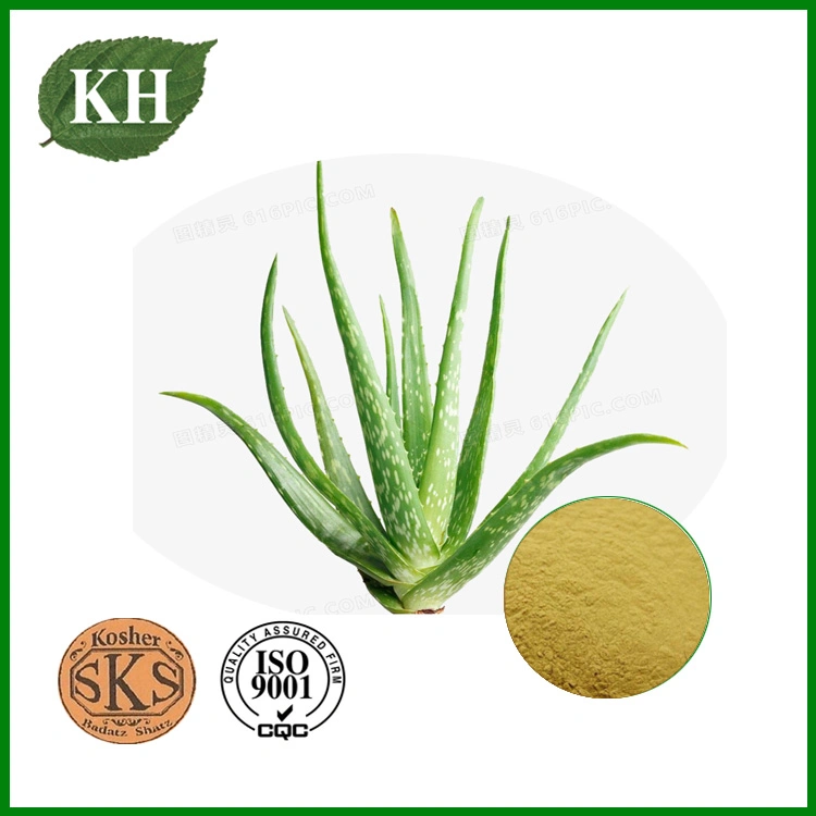 Manufacture Aloe Vera Extract Aloin 18%