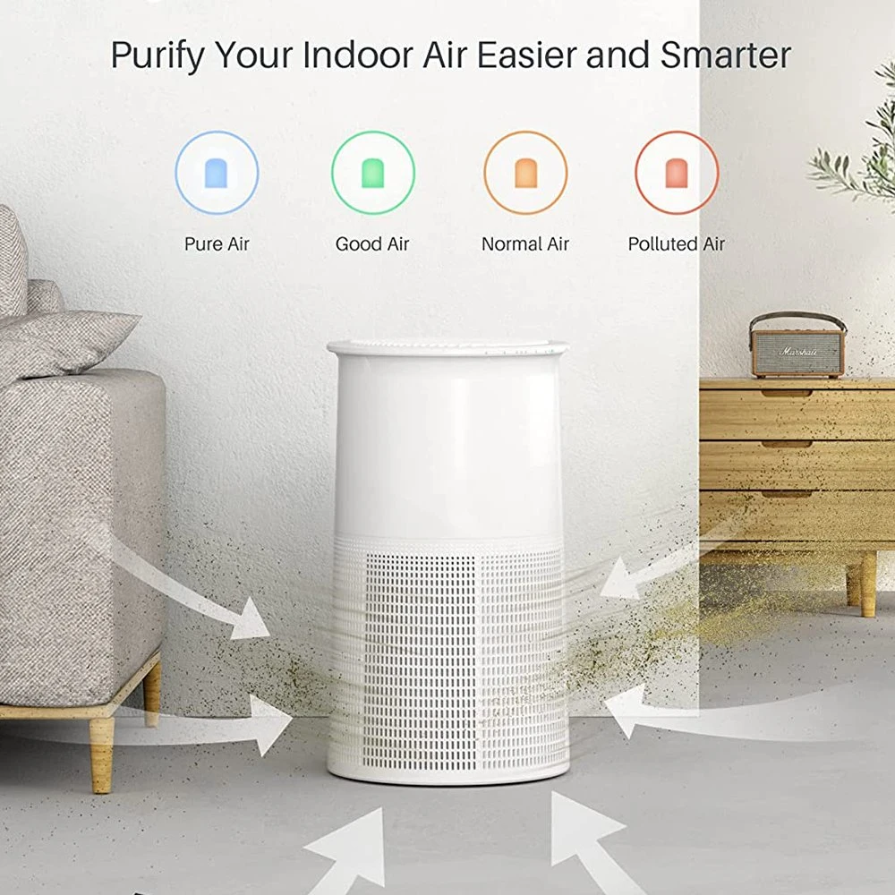 2h, 4h, 8h Active Trademark/OEM/ODM Giftbox, Carton Room Filter Air Cleaner