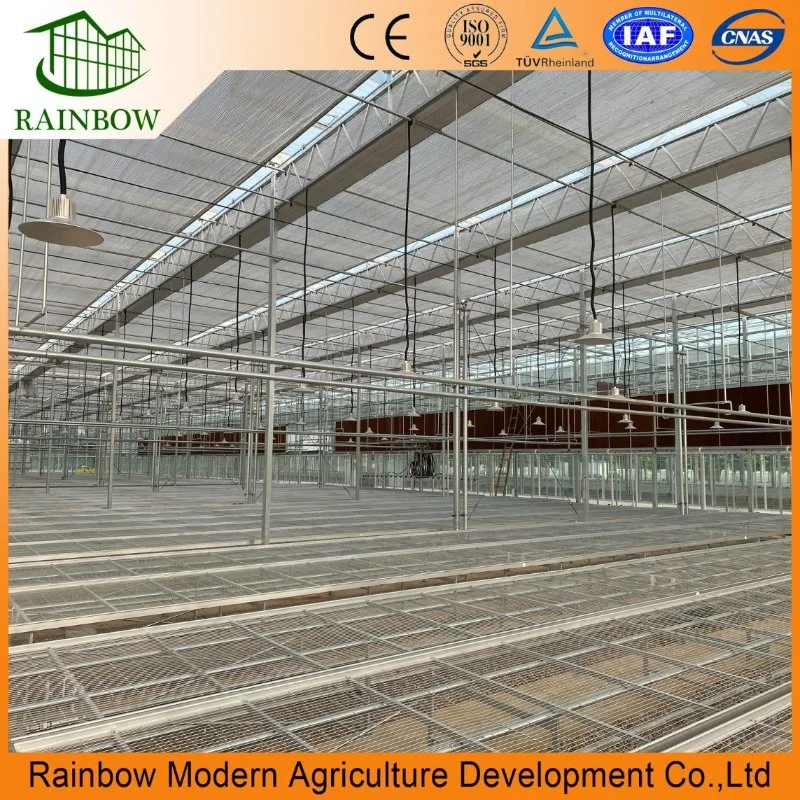 Smart Venlo Type Hollow Double Glass Greenhouse للالطماطم/ الخيار/ الخس / الفلفل / الكبسام أنيوم مع نظام الهيدرولوجيا ومؤشر LED تنمو خفيف