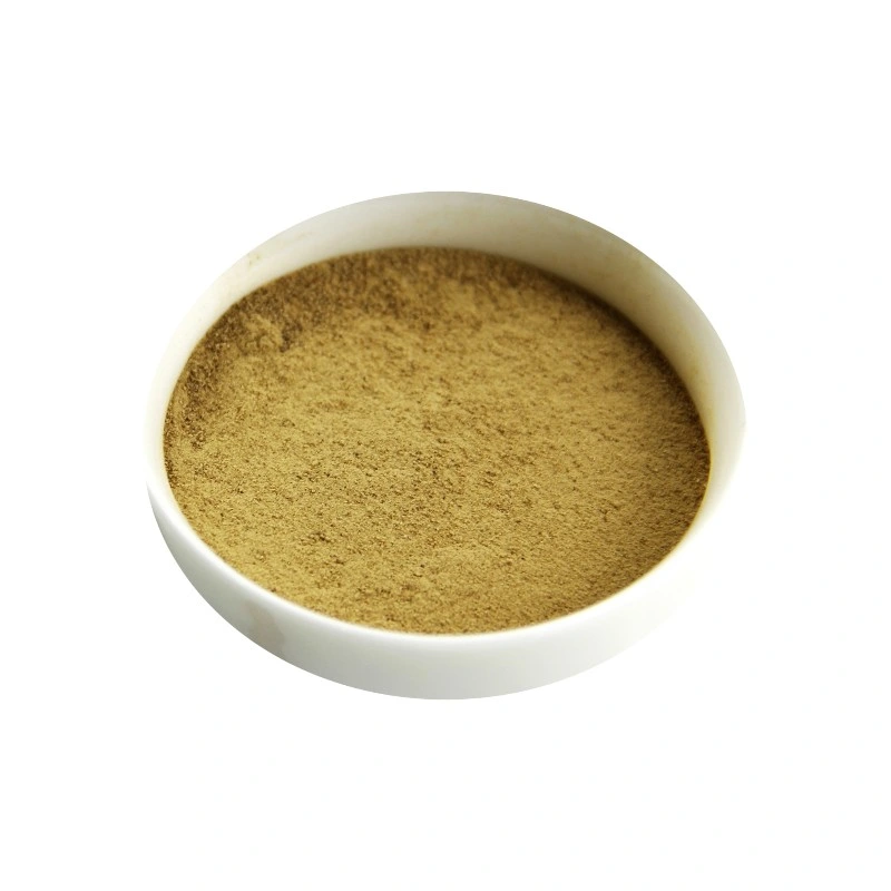 Herb Extract Health Protection Additives Protect Ppleen and Stomach Semen Euryales Powder