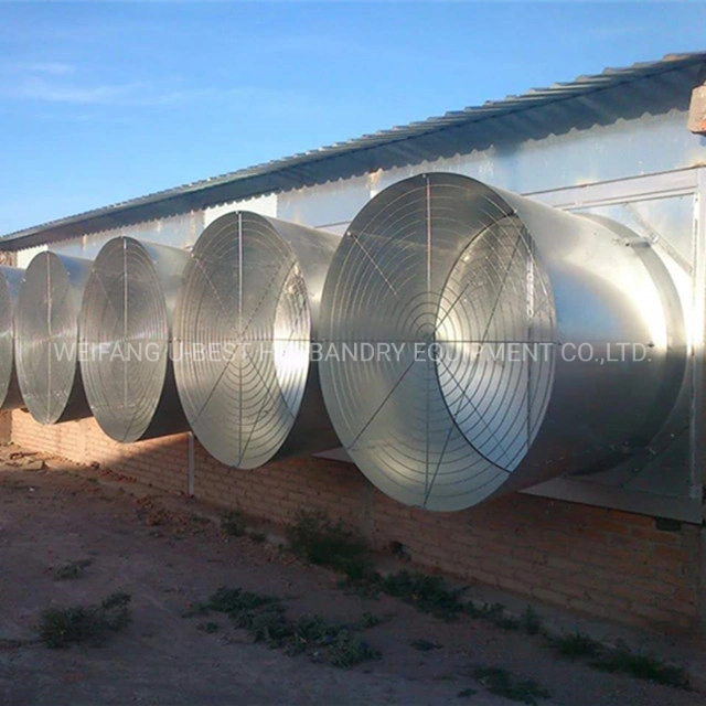 Hot Sell Chicken House Design Broiler Farm Equipment in Philippines