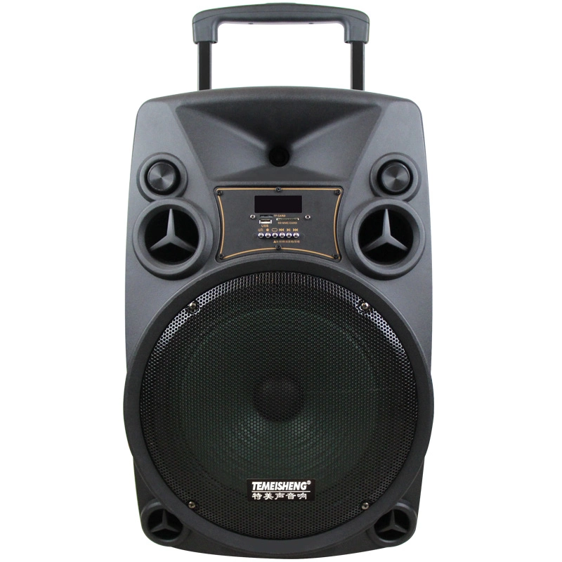 Temeisheng SL12-14 Home Audio Bluetooth Trolley Speaker