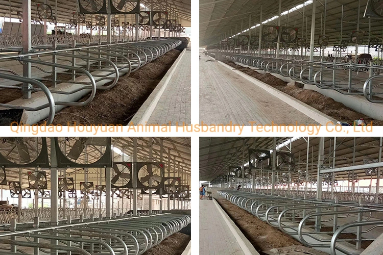 Best Selling Comfortable Farm Equipment Galvanized Cow Free Stall Livestock Machinery