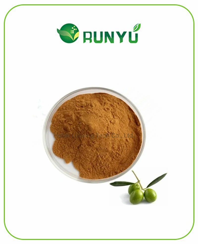 Alimentação de fábrica Olive o extrato de folhas a 5% - 50% Hydroxytyrosol em pó