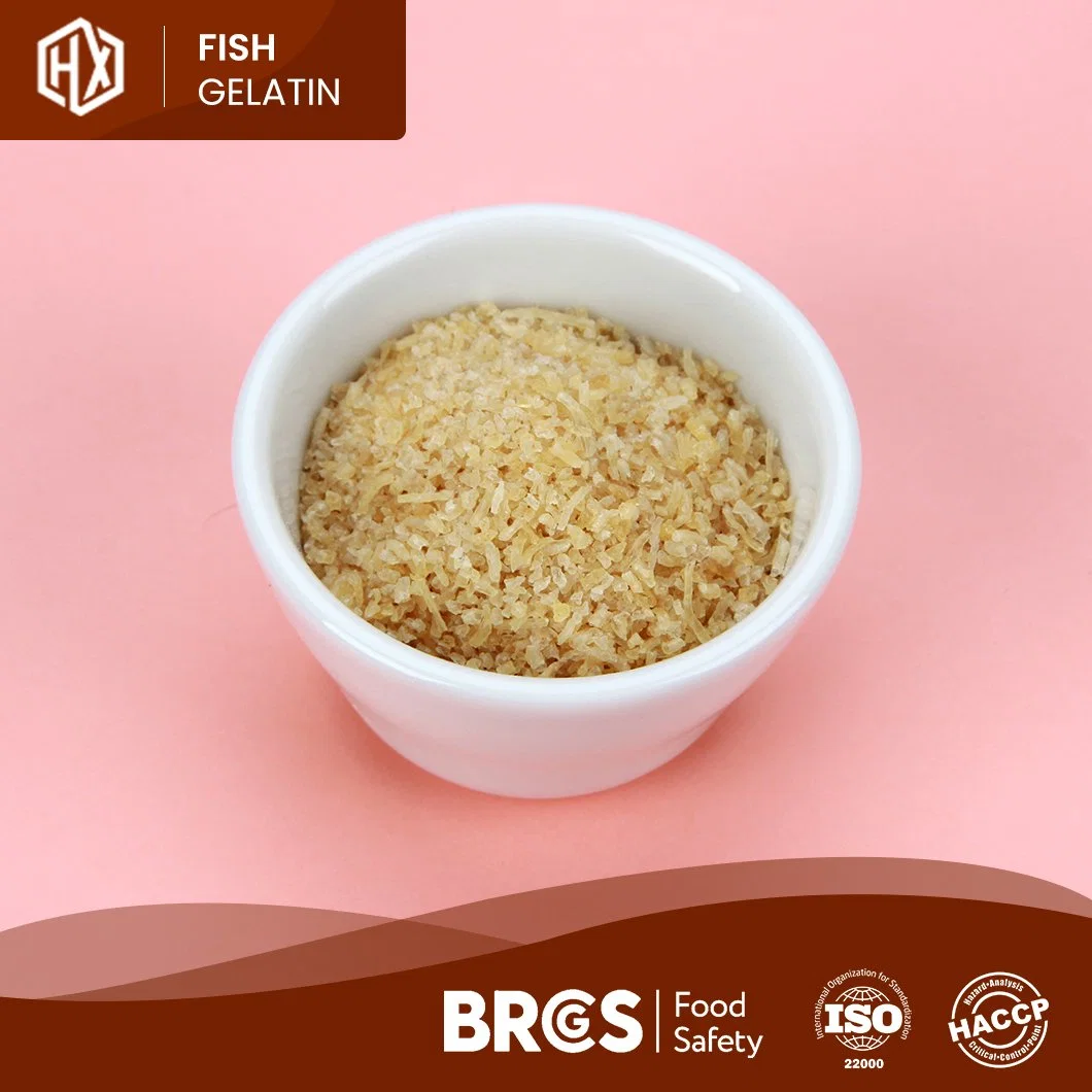 Haoxiang OEM Customized Cod Fisch Haut Gelatin China Halal Cod Fischhaut Gelatin Herstellung Lebensmittelqualität 105% Pudermood Cod Fisch Hautgelatin