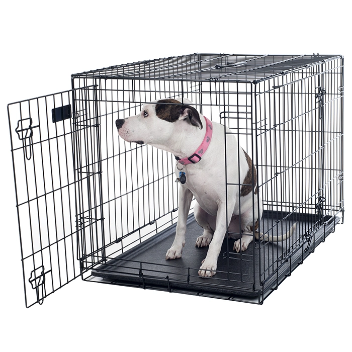 Custom Tempered Glass Door Dog Kennels Cages Stainless Steel Dog Cage