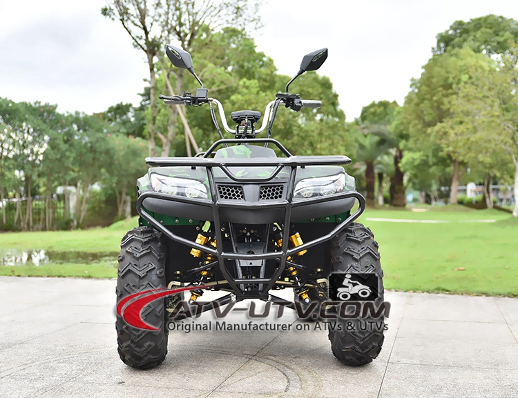 China Factory 4000W 5000W 6000W Electric 4X4 Quad Bike