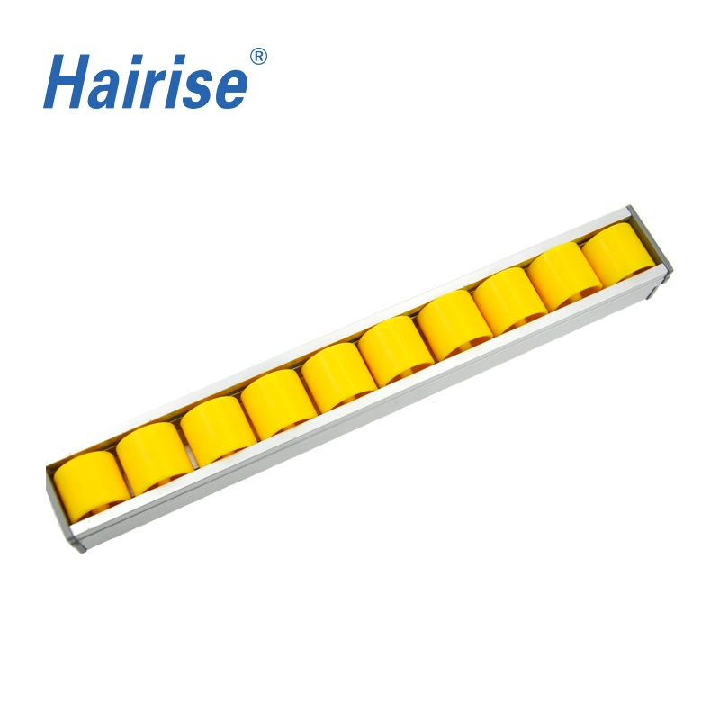 Hairise Brand Conveyor Side Guide Plastic Profiles Chain Guide Manufacturer Wtih ISO Certificate