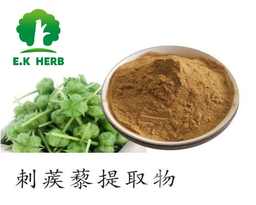 E. K Herb fábrica alta qualidade com amostra grátis Extrato vegetal grau de alimento natural Terrestris Saponins 40% ~ 99% planta em pó Extrato de Tribulus Terrestris herbal