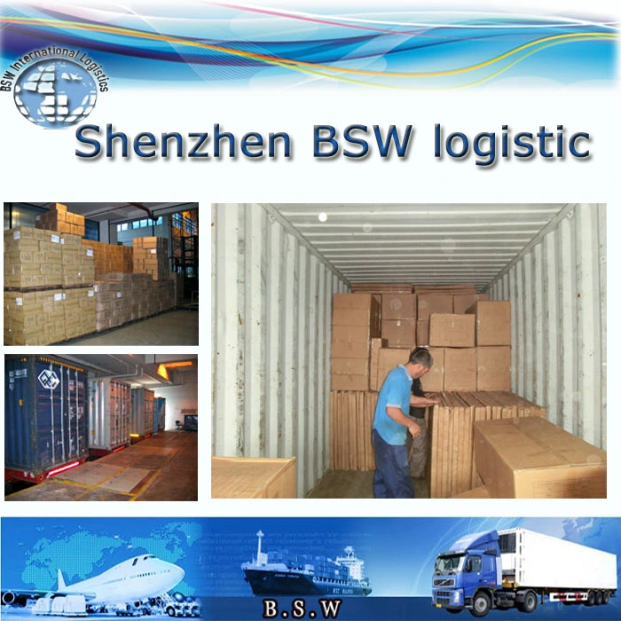 Ocean Freight Forwarder Sea Shipping Transport From China to Hamburg/Bremen/Bremerhaven/Aachen/Anabach/Augsburg/Bamberg Germany