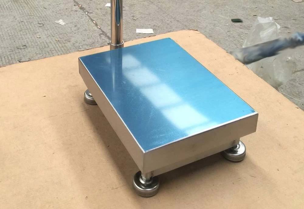 304 Stainless Steel Electronic Wateproof Weighing Platform Scales