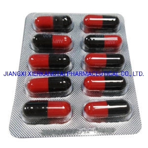 Cápsula de ampicilina 250mg 500mg GMP certificada