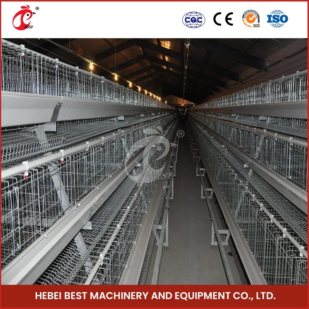 Une couche de type Cage Bestchickencage Chine Cage de la couche d'usine de fabrication de poulet de batterie de type personnalisé la configuration de la couche d'élevage en cage poulailler maisons meubles pet