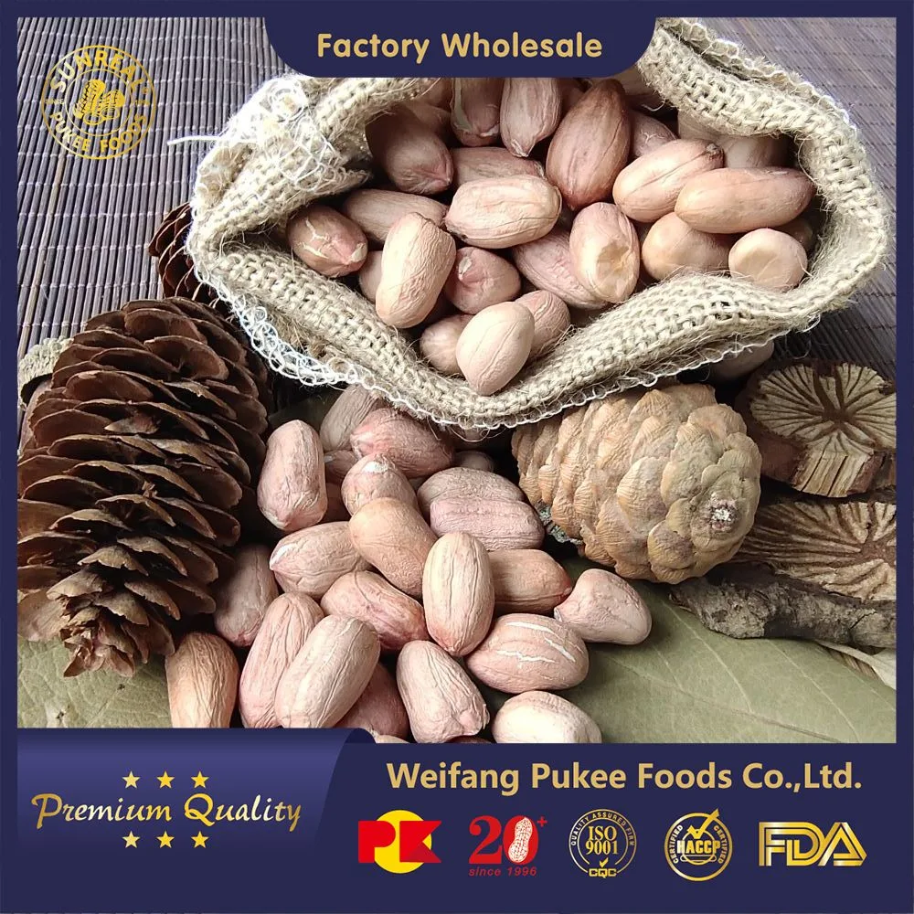 Raw Peanut Kernels Virginia 28/32 China/High Quality Peanut Seeds