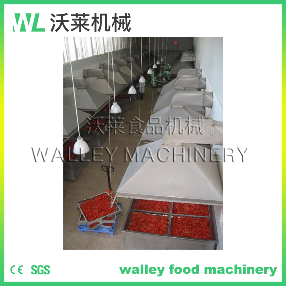 China Beetroot Beet Dehydrator Dry Machine