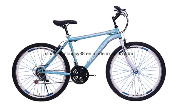 21speed Steel Mountain Cycles Bikes (LYQ4094)
