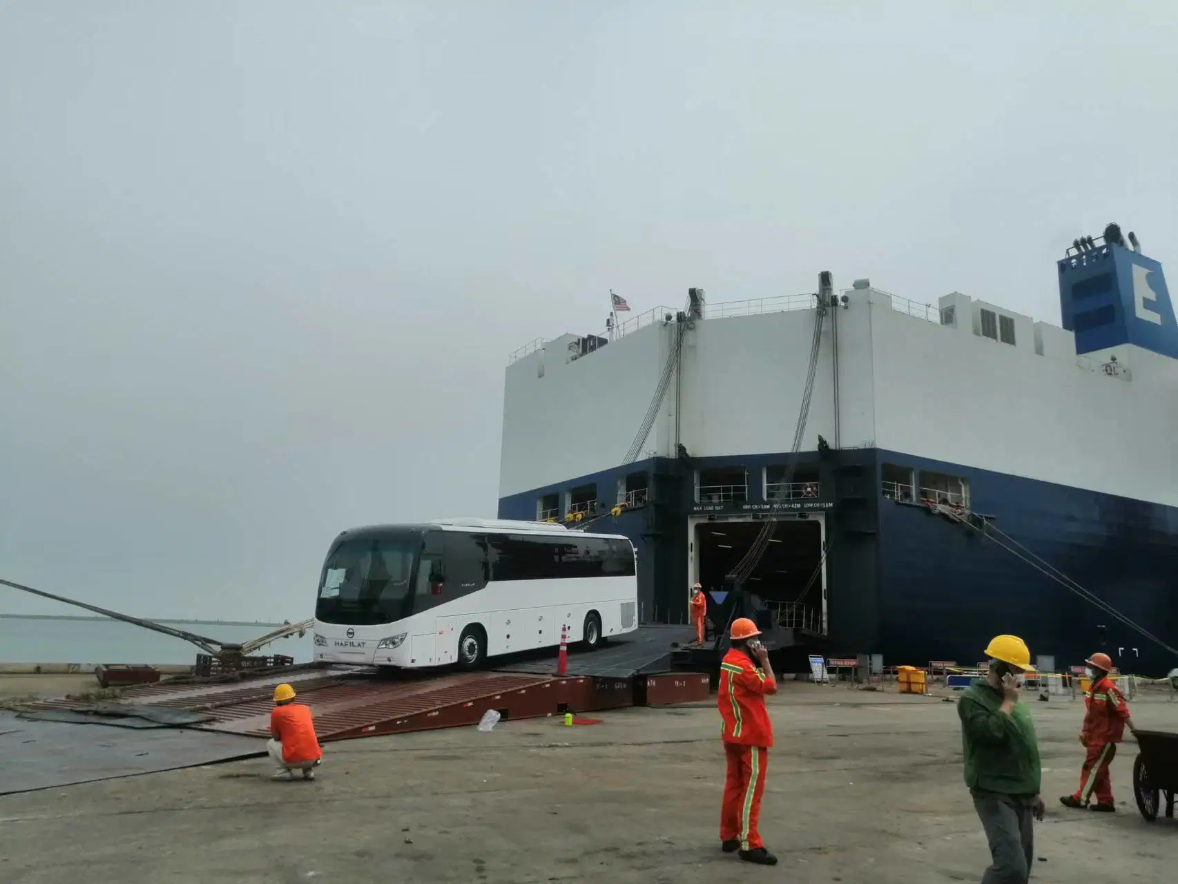 Ocean Transportation Forwarding-Roro Ship From China to Germany