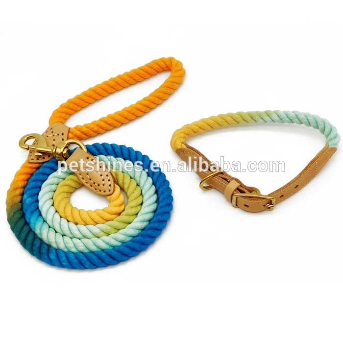 Hanyang couleurs de haute qualité personnalisé 100% coton corde chien en laisse Rainbow Plomb