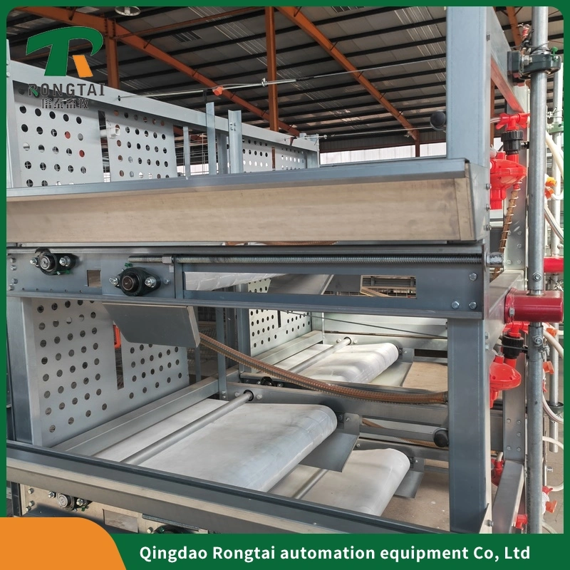 Factory Price Automatic Galvanized Farm Equipment Livestock Poultry Bird Battery Chicken Cages for Feeding Drinking for Chicken House/