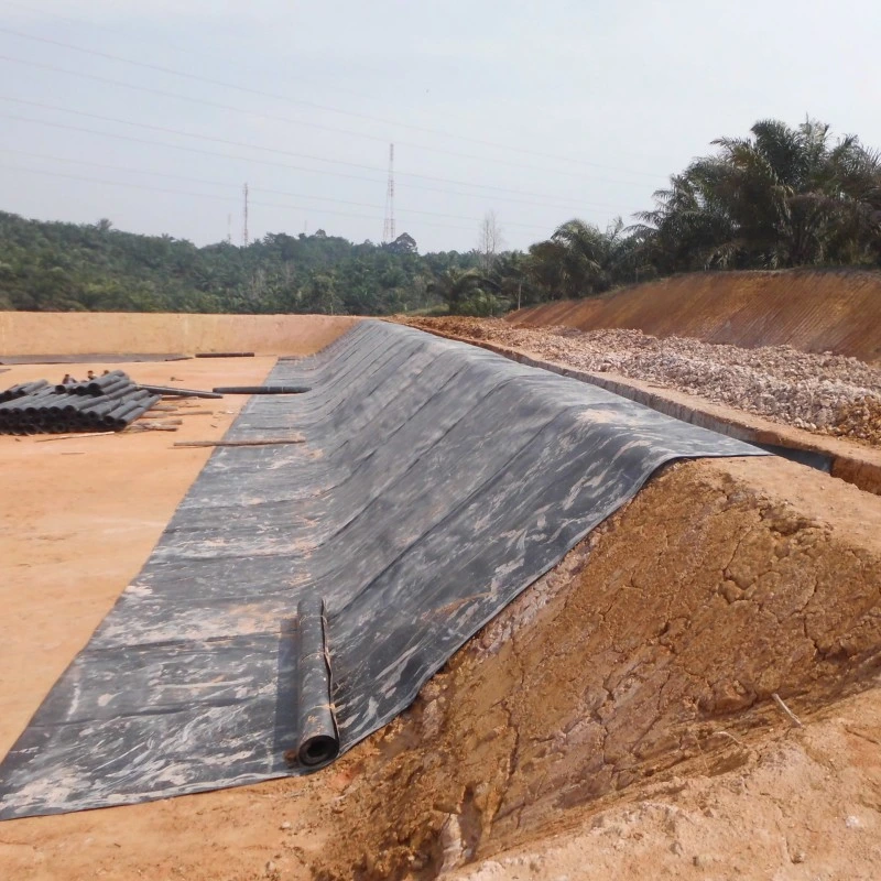 Revestimento de lagoa HDPE Geomembrana 160 G/M2, 190 G/M2, 250 G/M2, 350 G/M2 lona anti-infiltração