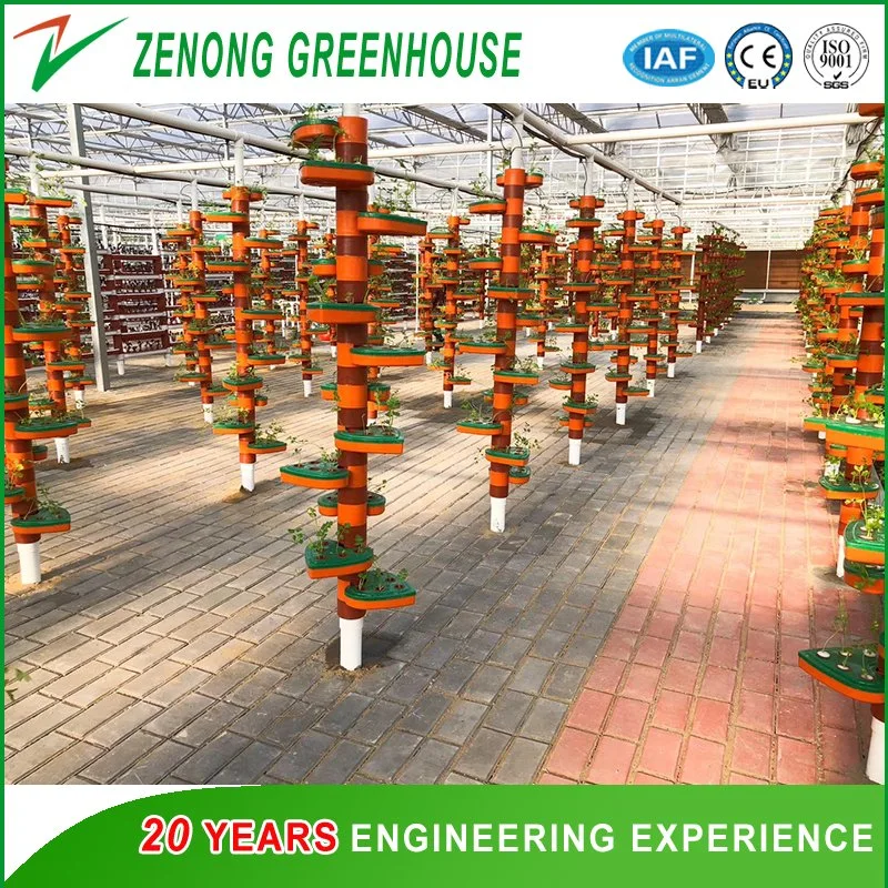 Multispan PC Greenhouse with Hydroponics Equipment for Soiless Cultivation