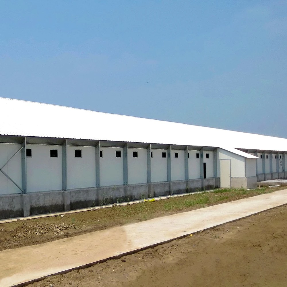 Prefabricated H Beam Steel Poultry House Poultry Farms From China