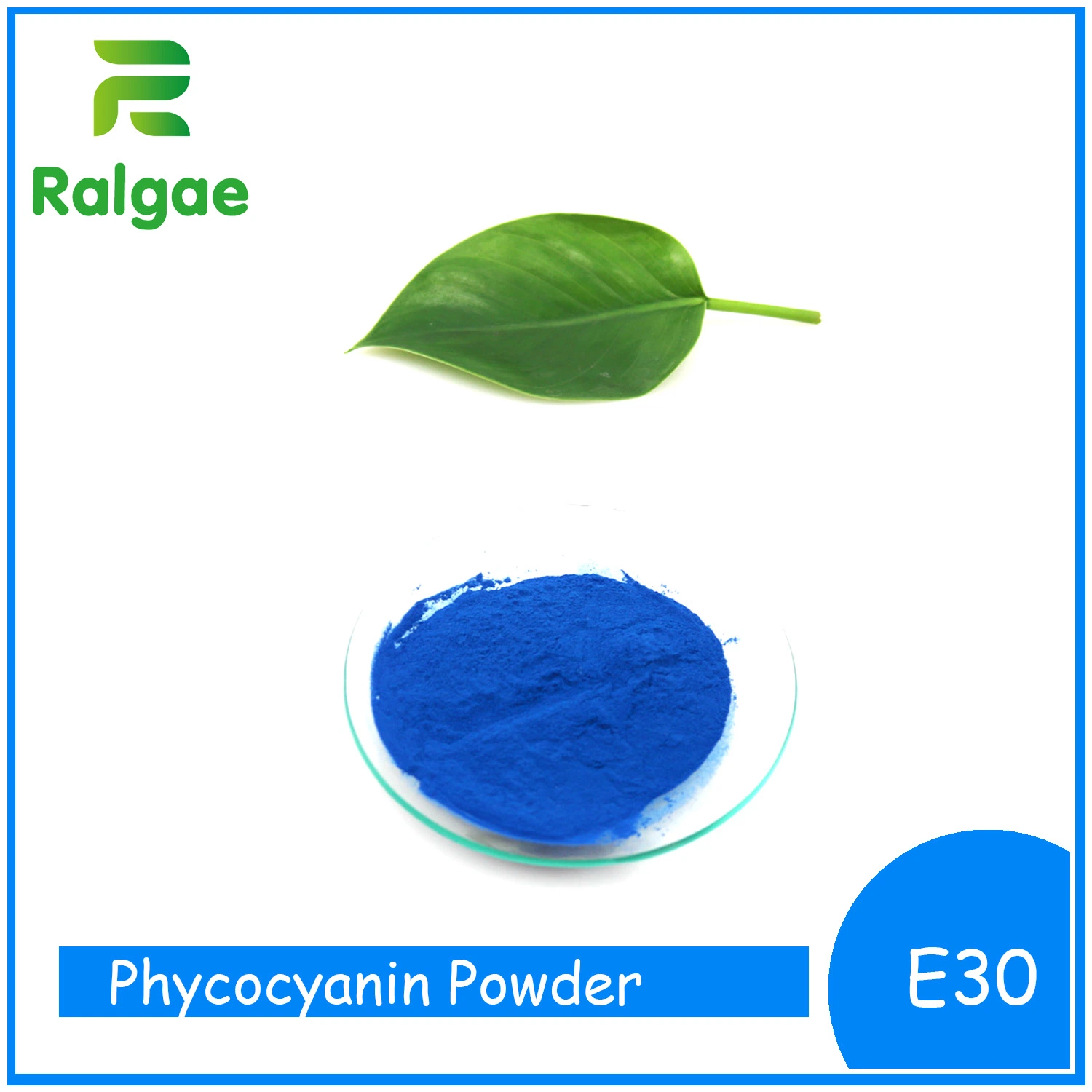 E30 Pure Spirulina الاستخراج Blue Pigment Phycocyanin CAS 11016-15-2