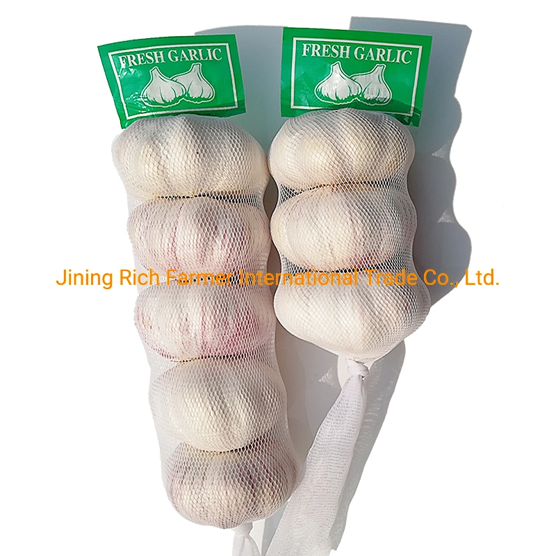 Chinesischer Knoblauch Roter Knoblauch 5p/4p/3p Netz