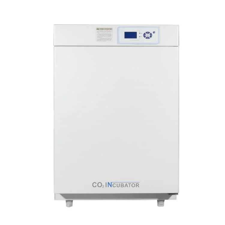 50L 80L 150L 190L 240L Air-Jacketed, Pid Control Carbon Dioxide Incubator CO2 Incubator