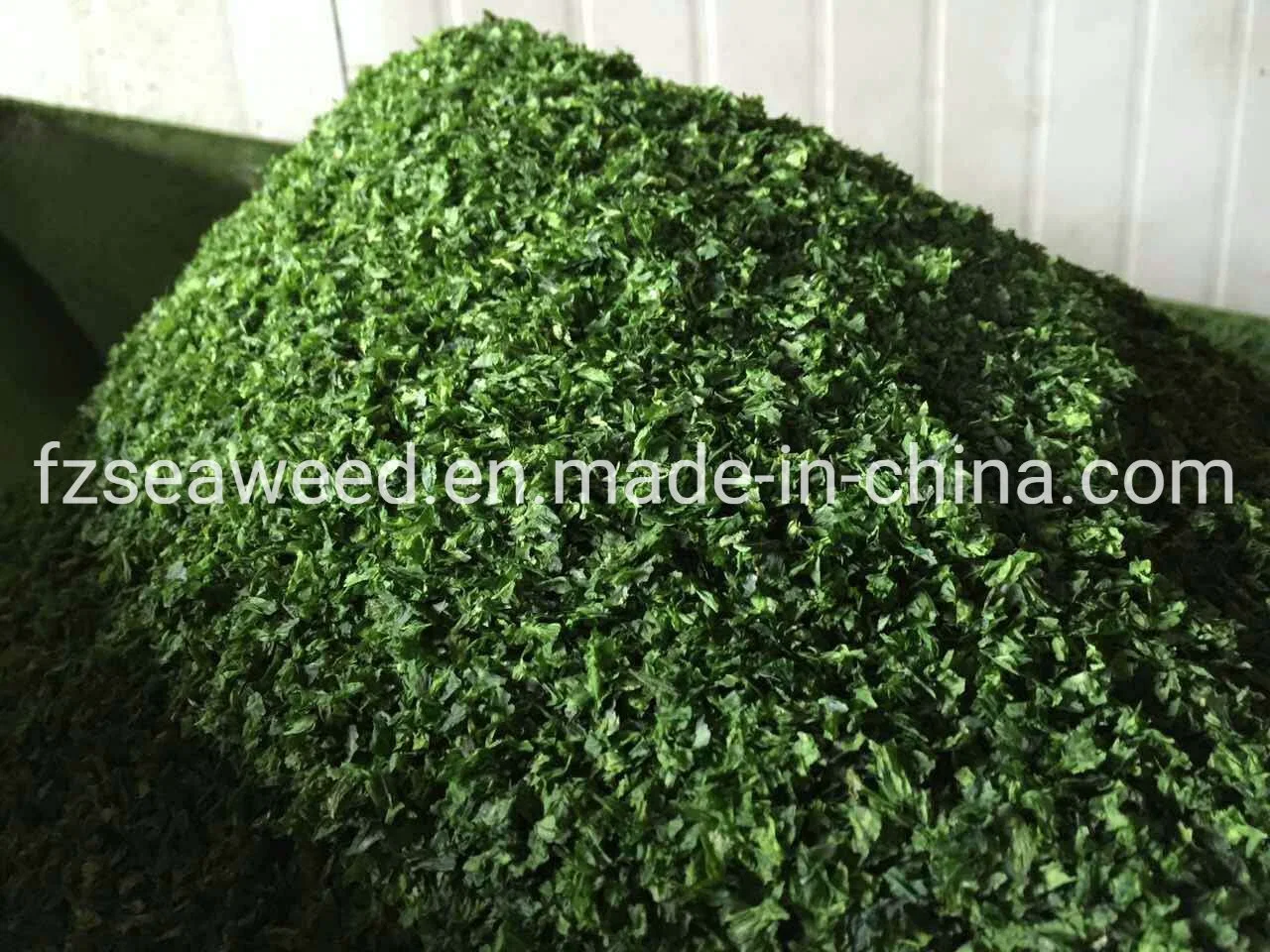 Seaweed Food Ingredient, Green Sea Algae, Seaweed Ulva in Bulk