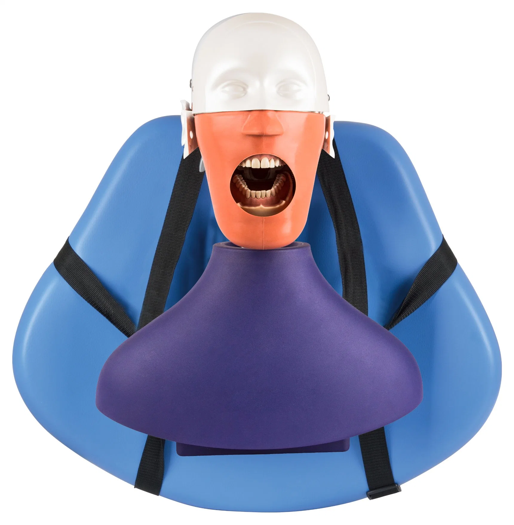 Oral Dental Manikin Phantom Head for Training Practice Simulator