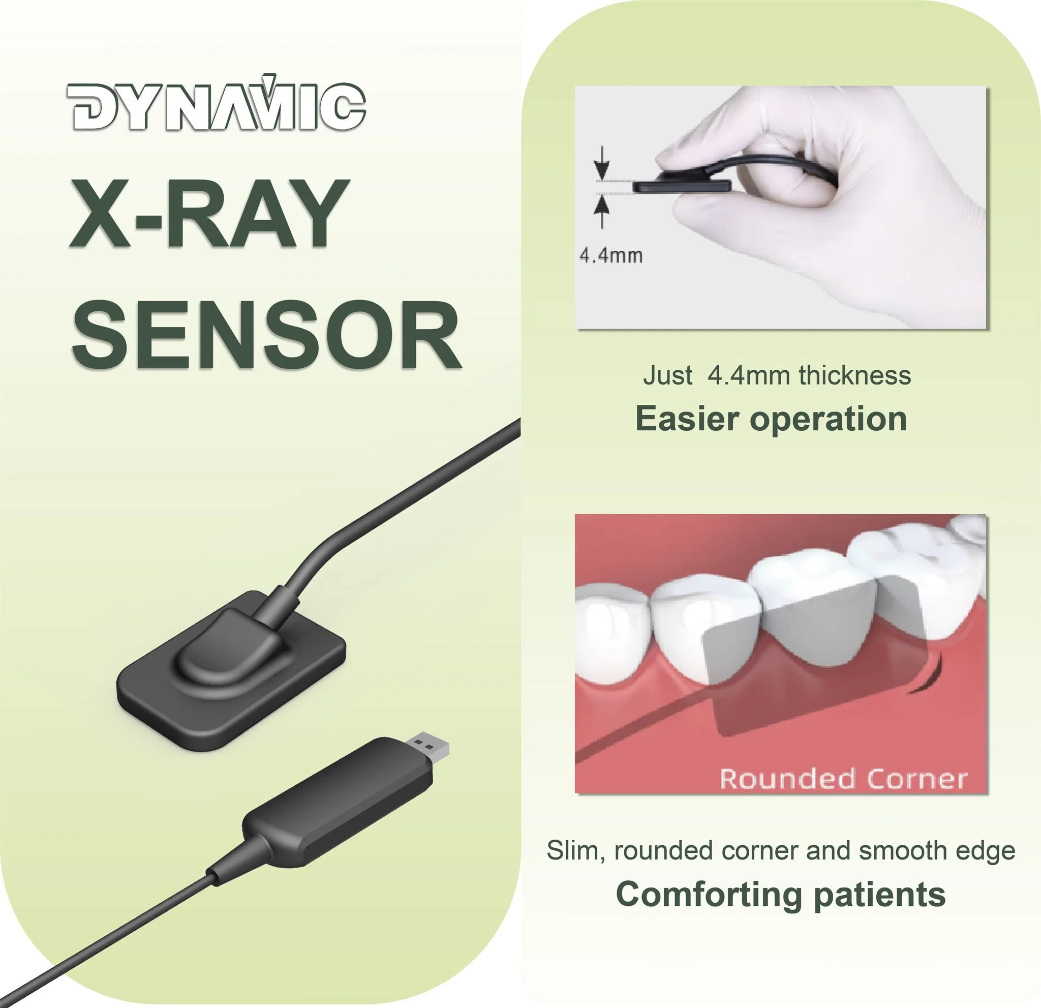 Medical Digital RVG Dental X-ray Imaging System Dx01 Made in China