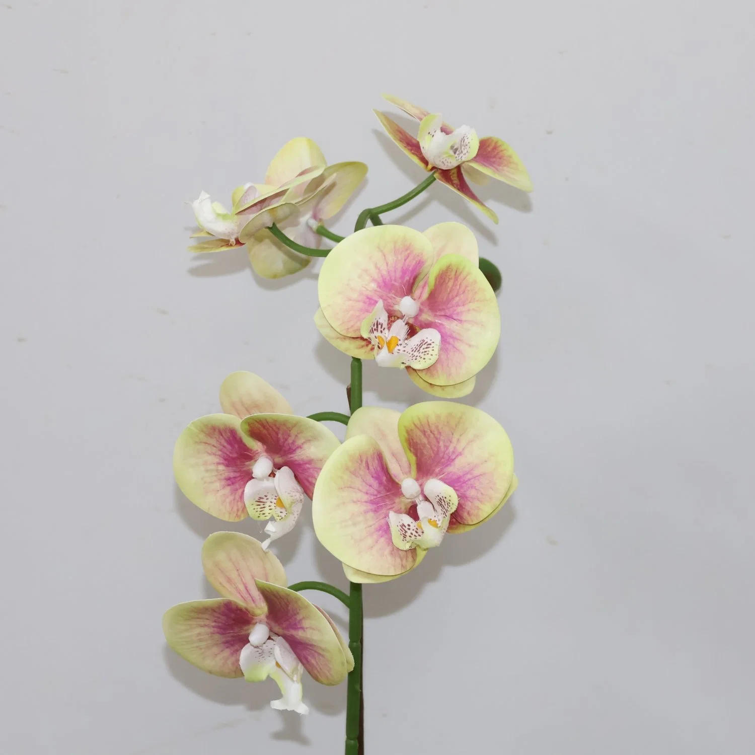 High quality/High cost performance  Silk Flower Phalaenopsis Orchid Arrangement Plastic Artificial Flower Home Decoration